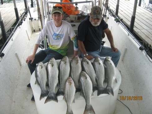 Nice Striped Bass